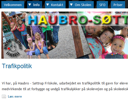 Haubrofriskole250x200